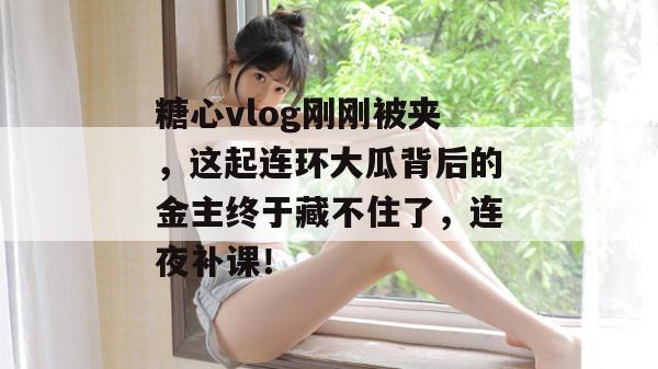 糖心vlog刚刚被夹，这起连环大瓜背后的金主终于藏不住了，连夜补课！